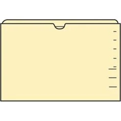 Medical Arts Press® Reinforced File Pocket, Letter Size, Manila, 100/Box (FPDT12)