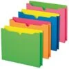 Pendaflex Glow Twisted File Jackets, Letter Size, Assorted, 10/Pack (49501) -Bostitchy Store s1069838 s7